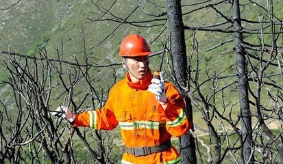 对讲机成森林防火必备利器(组图)