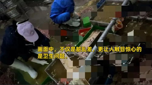 记者揭露食品厂脏乱行为,涉及电话泄露 背后关系曝光